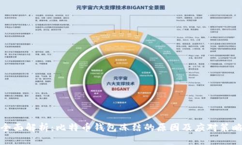 全面解析：比特币钱包冻结的原因及应对策略