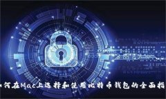 如何在Mac上选择和使用比