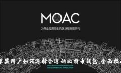 苹果用户如何选择合适的比特币钱包：全面指南