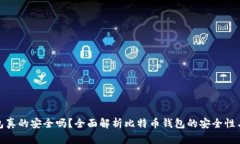 比特币钱包真的安全吗？全面解析比特币钱包的