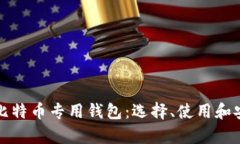 全面解析比特币专用钱包：选择、使用和安全性