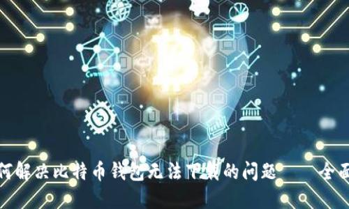 : 如何解决比特币钱包无法下载的问题——全面指南