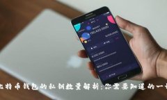 比特币钱包的私钥数量解析：你需要知道的一切