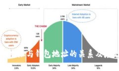比特币地址与钱包地址的关系及填充指南