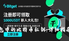 如何查看在线钱包中的比特币私钥：详细指南与