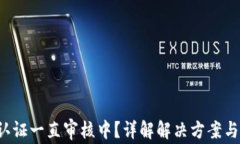 Pi币KYC认证一直审核中？详解解决方案与常见问题