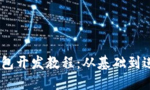 完整的USDT钱包开发教程：从基础到进阶的技术指南
