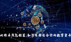最安全的比特币钱包推荐：如何选择适合你的数