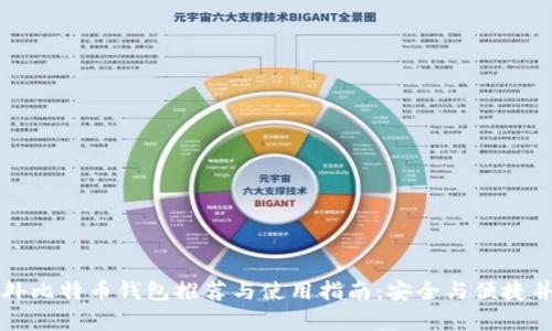 国外比特币钱包推荐与使用指南：安全与便捷并存