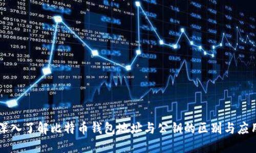 深入了解比特币钱包地址与公钥的区别与应用