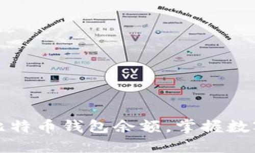 如何轻松查询比特币钱包余额，掌握数字资产实时动态