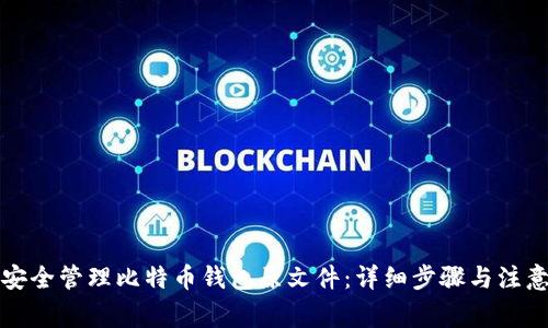 如何安全管理比特币钱包原文件：详细步骤与注意事项