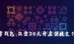 超值数字钱包：仅需30元开启便捷支付新时代