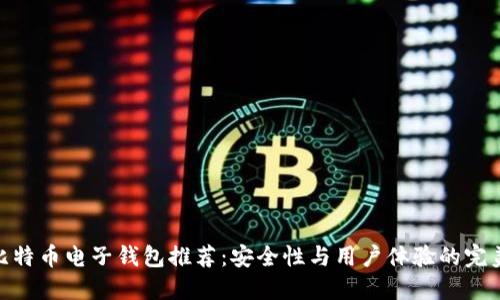 最佳比特币电子钱包推荐：安全性与用户体验的完美结合